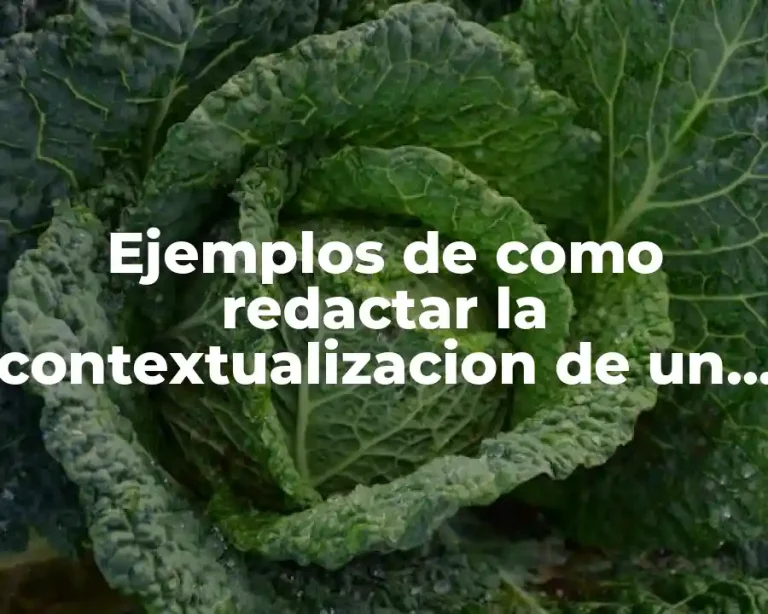 Ejemplos de como redactar la contextualizacion de un proyecto