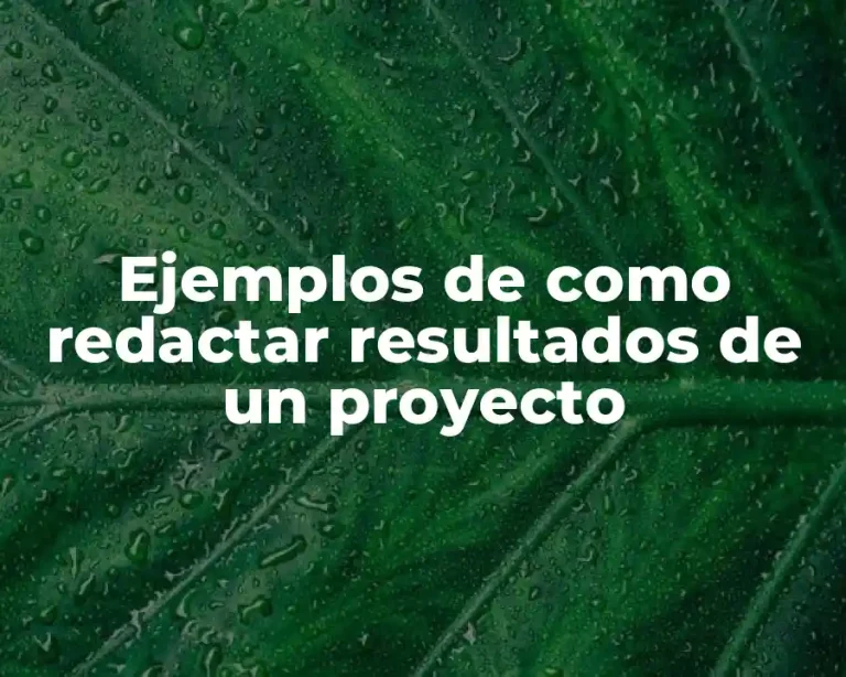 Ejemplos de como redactar resultados de un proyecto