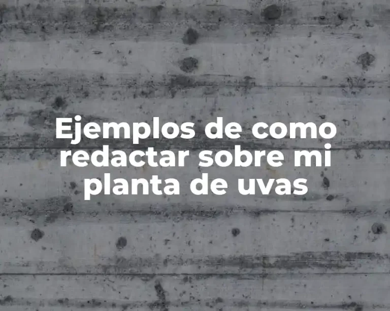 Ejemplos de como redactar sobre mi planta de uvas