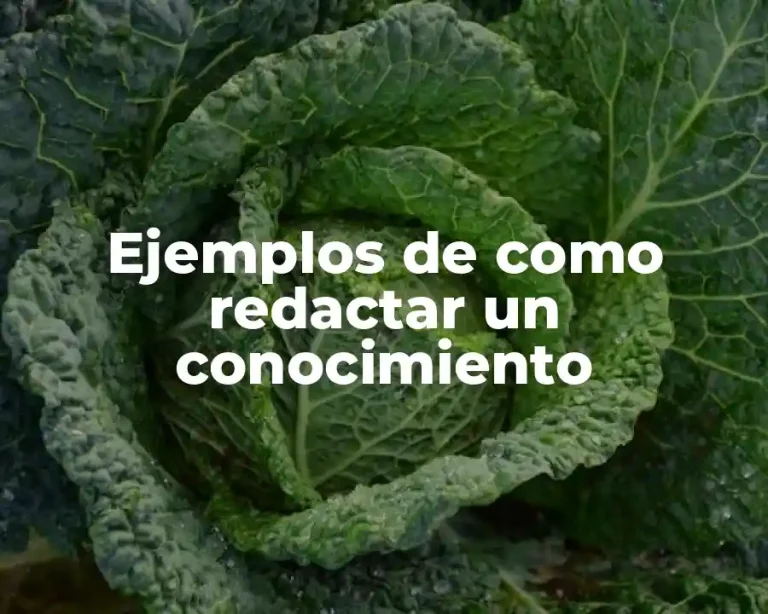 Ejemplos de como redactar un conocimiento