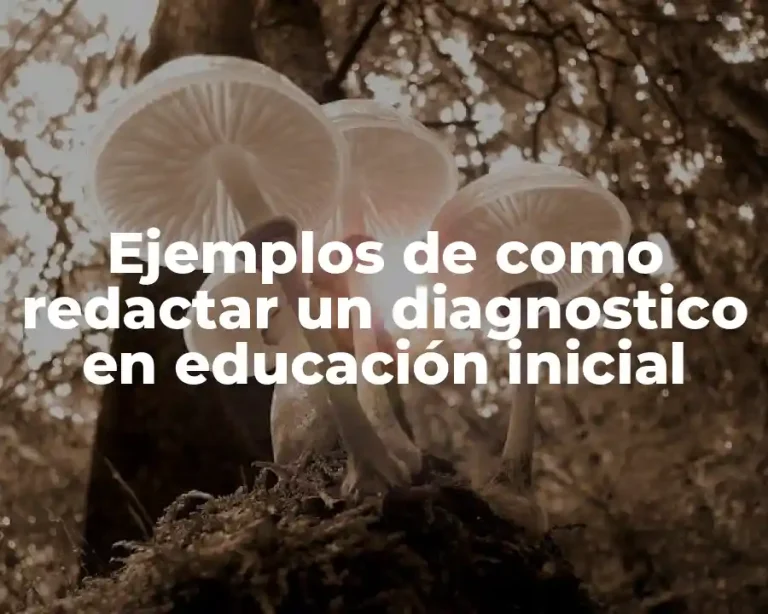 Ejemplos de como redactar un diagnostico en educación inicial