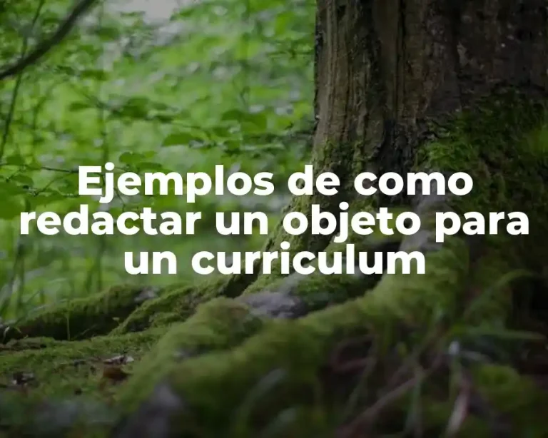Ejemplos de como redactar un objeto para un curriculum