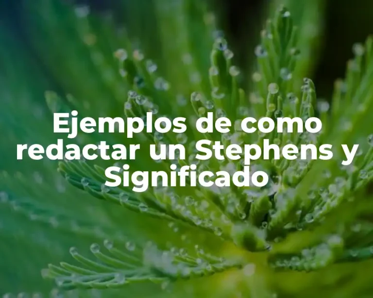 Ejemplos de como redactar un Stephens y Significado