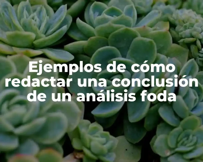 Ejemplos de cómo redactar una conclusión de un análisis foda