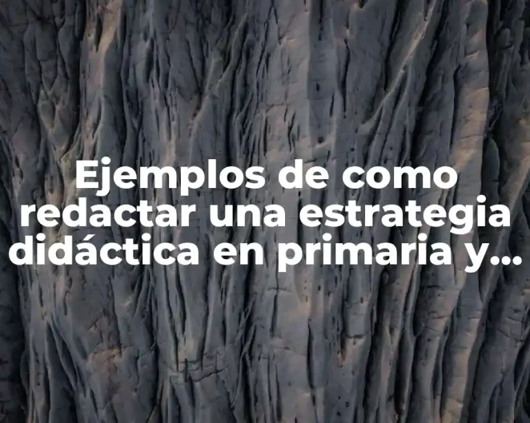 Ejemplos de como redactar una estrategia didáctica en primaria y Significado