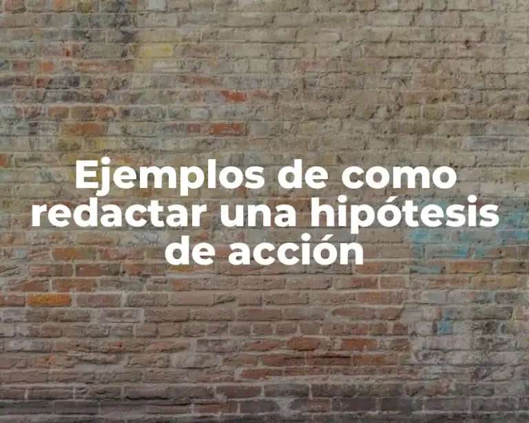 Ejemplos de como redactar una hipótesis de acción