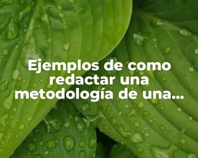 Ejemplos de como redactar una metodología de una investigación cualitativa