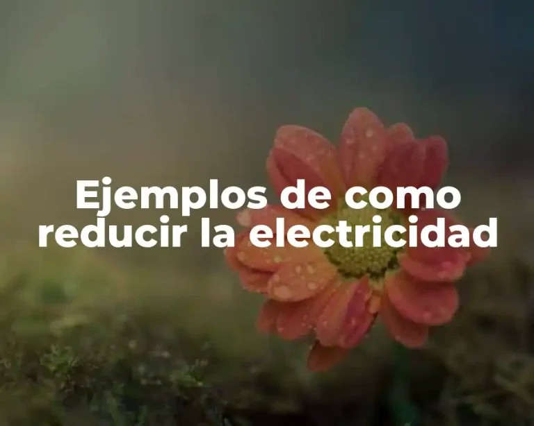 Ejemplos de como reducir la electricidad