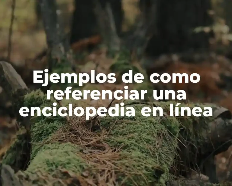 Ejemplos de como referenciar una enciclopedia en línea