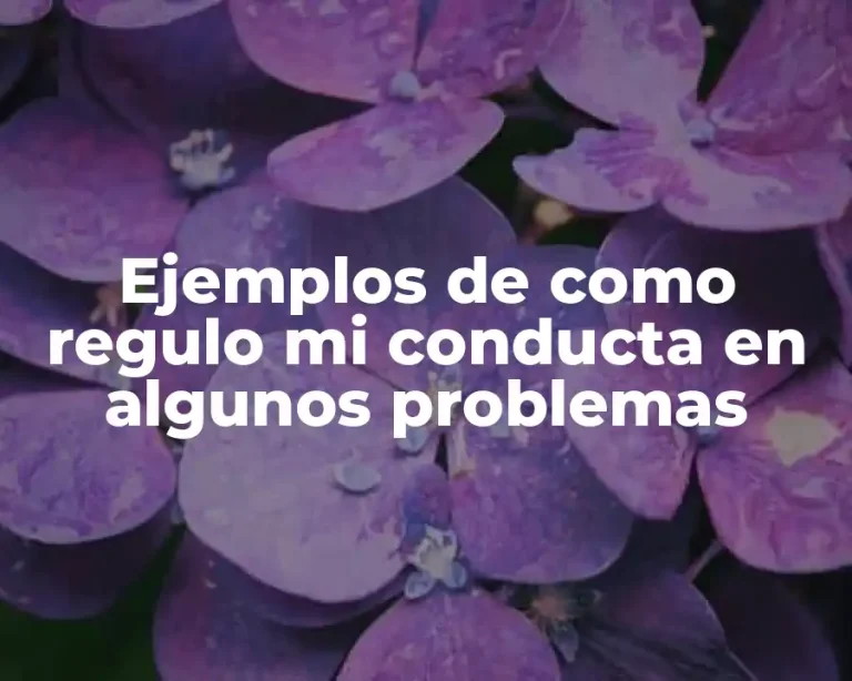 Ejemplos de como regulo mi conducta en algunos problemas