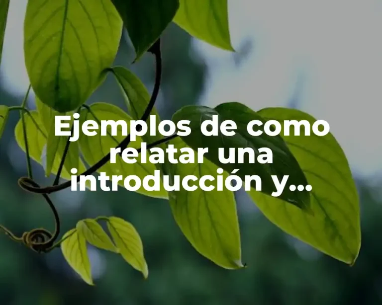 Ejemplos de como relatar una introducción y Significado