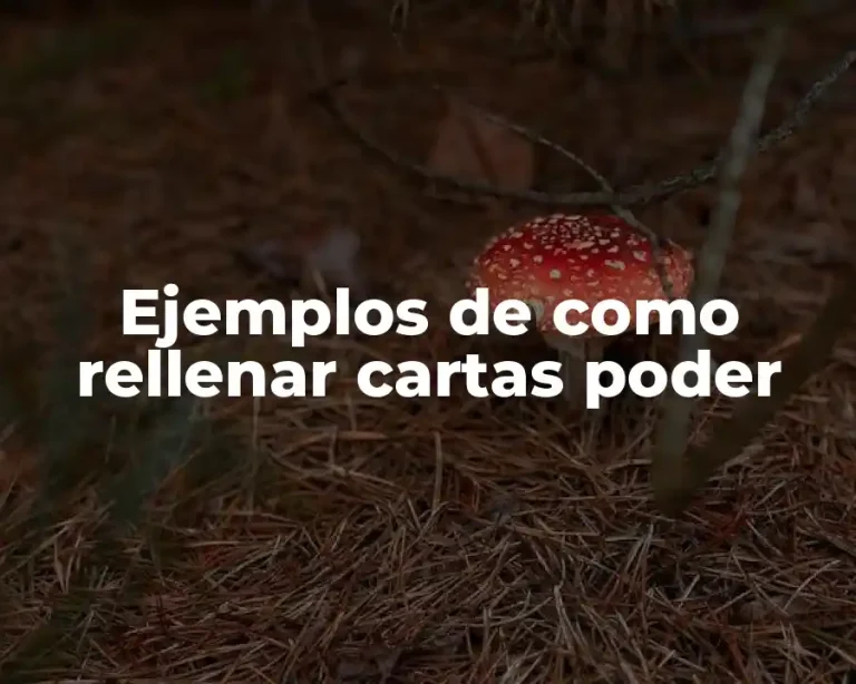 Ejemplos de como rellenar cartas poder