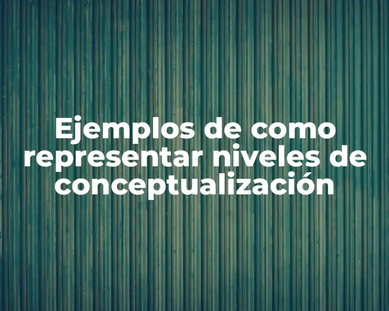 Ejemplos de como representar niveles de conceptualización