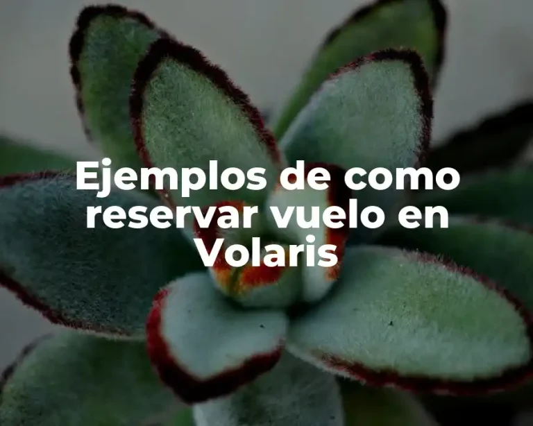 Ejemplos de como reservar vuelo en Volaris