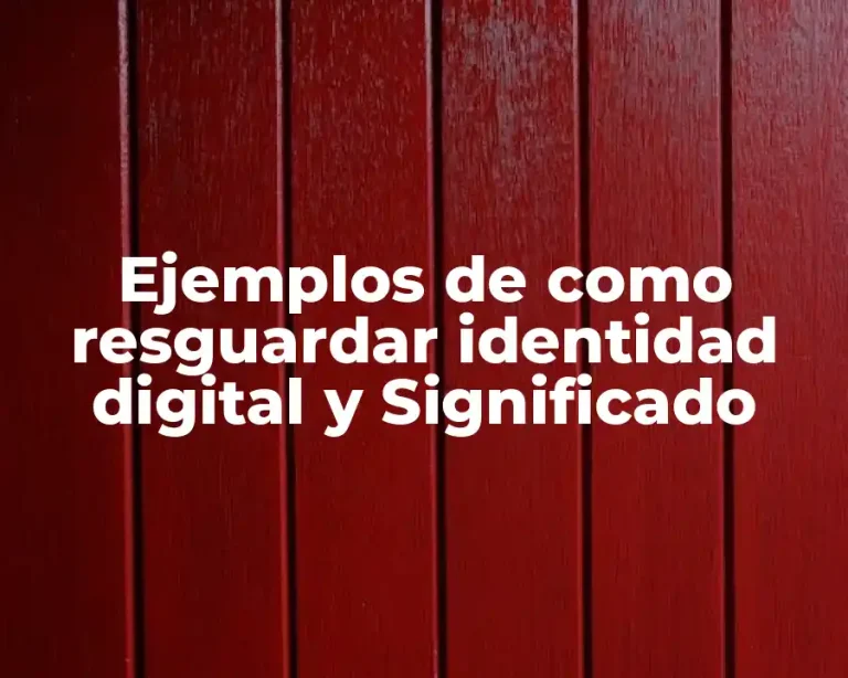 Ejemplos de como resguardar identidad digital y Significado