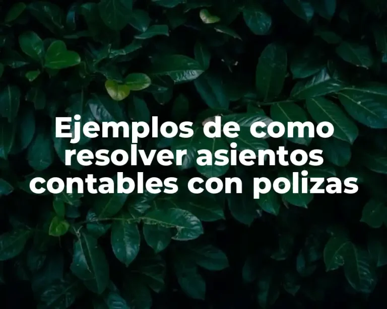 Ejemplos de como resolver asientos contables con polizas