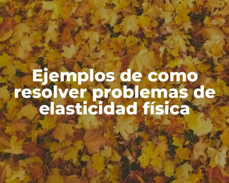 Ejemplos de como resolver problemas de elasticidad física