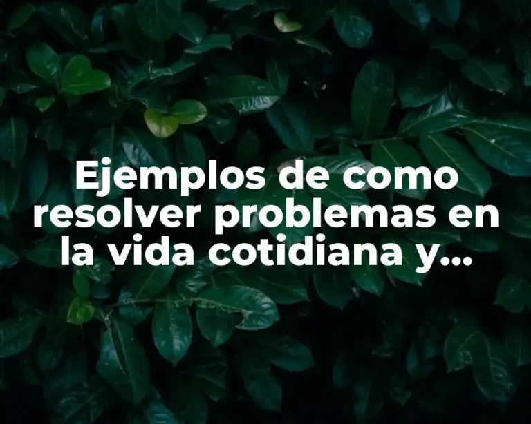 Ejemplos de como resolver problemas en la vida cotidiana y Significado