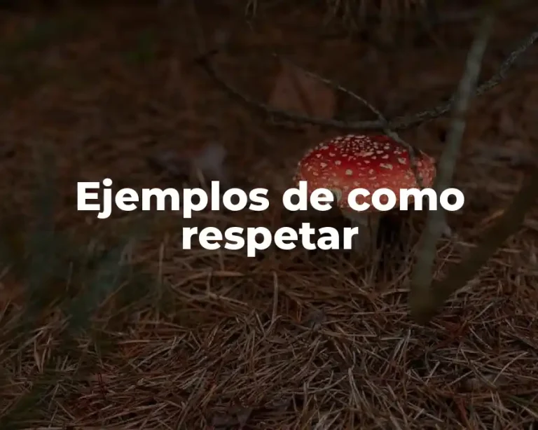Ejemplos de como respetar
