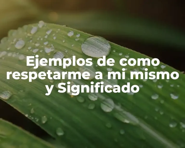 Ejemplos de como respetarme a mi mismo y Significado