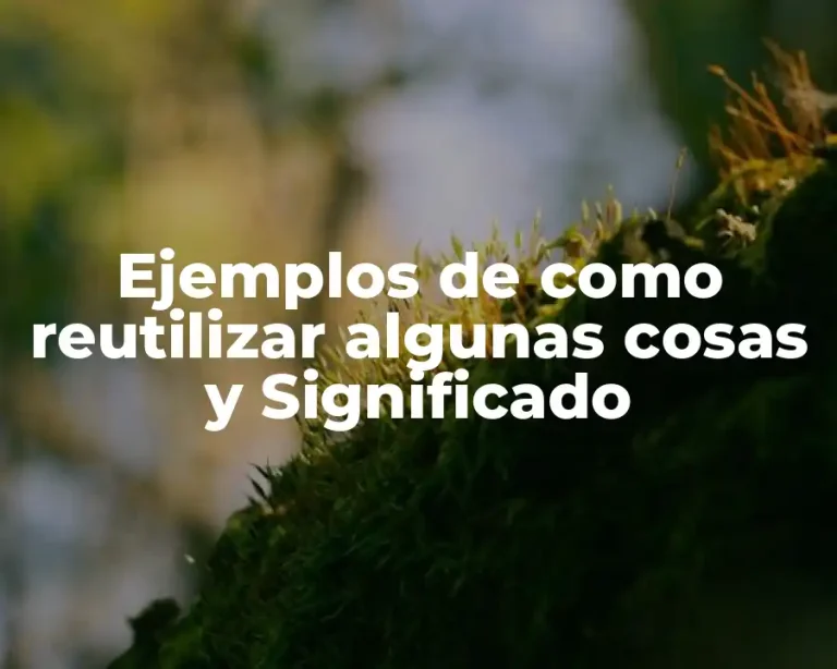 Ejemplos de como reutilizar algunas cosas y Significado