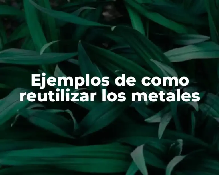 Ejemplos de como reutilizar los metales