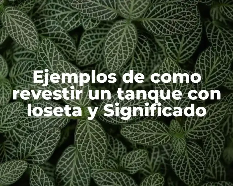 Ejemplos de como revestir un tanque con loseta y Significado