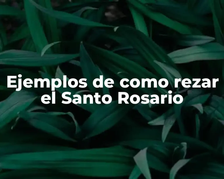 Ejemplos de como rezar el Santo Rosario