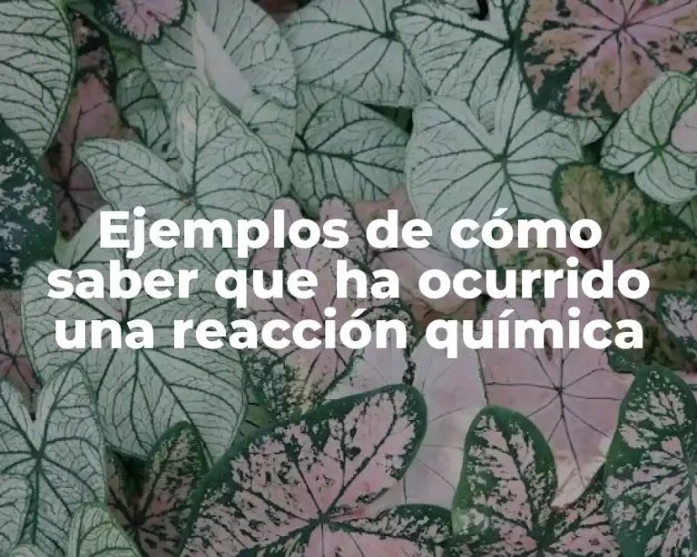 Ejemplos de cómo saber que ha ocurrido una reacción química