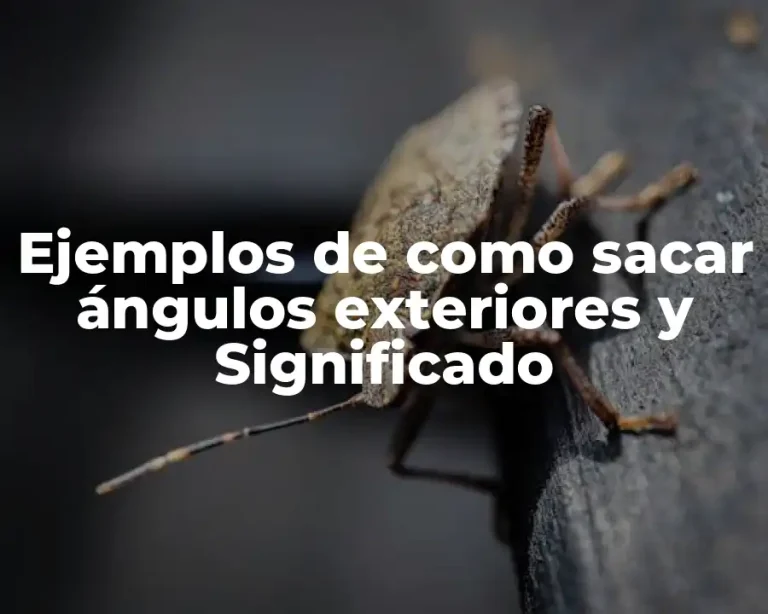 Ejemplos de como sacar ángulos exteriores y Significado