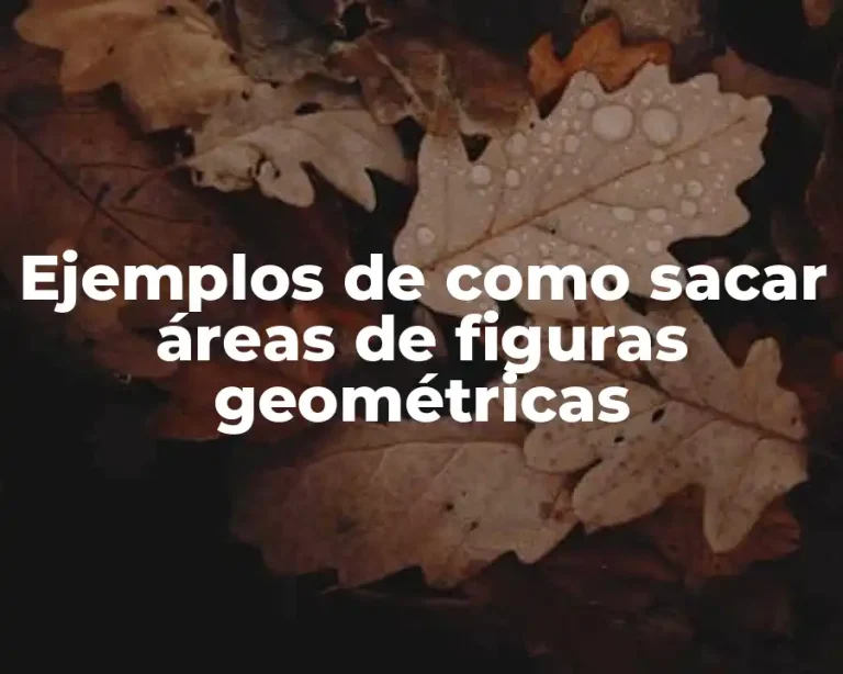Ejemplos de como sacar áreas de figuras geométricas