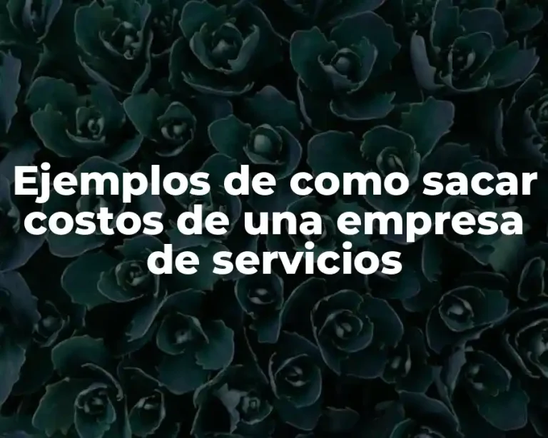 Ejemplos de como sacar costos de una empresa de servicios