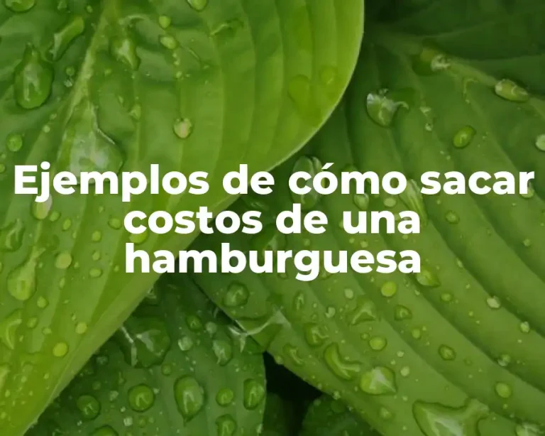 Ejemplos de cómo sacar costos de una hamburguesa