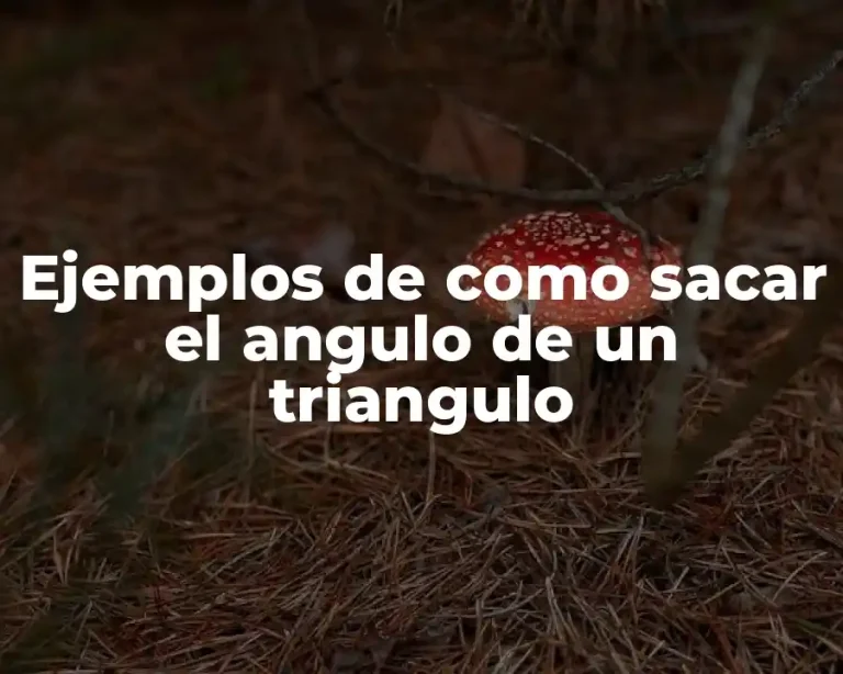 Ejemplos de como sacar el angulo de un triangulo