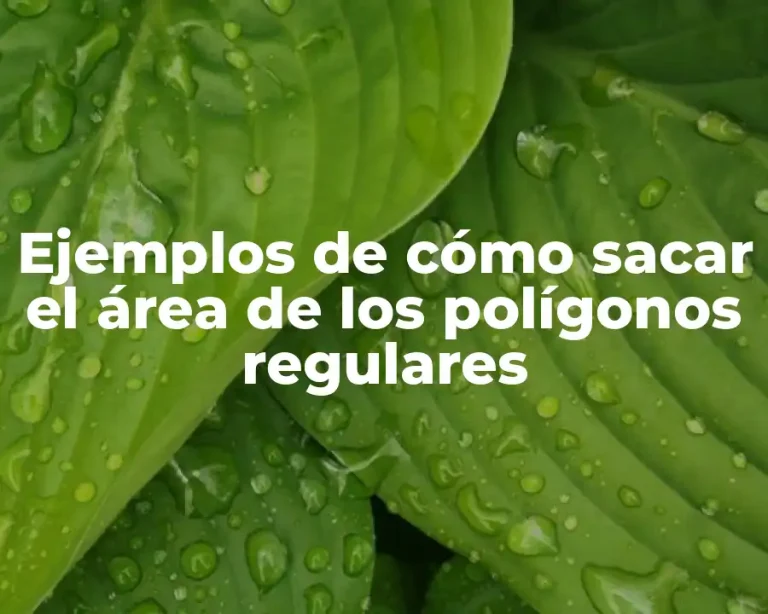 Ejemplos de cómo sacar el área de los polígonos regulares
