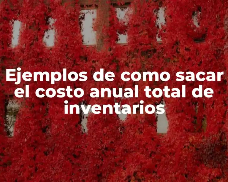 Ejemplos de como sacar el costo anual total de inventarios