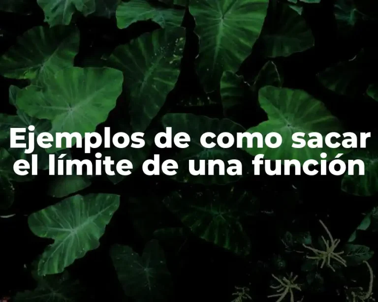 Ejemplos de como sacar el límite de una función