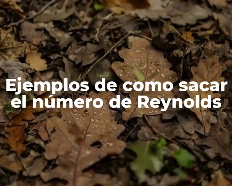 Ejemplos de como sacar el número de Reynolds