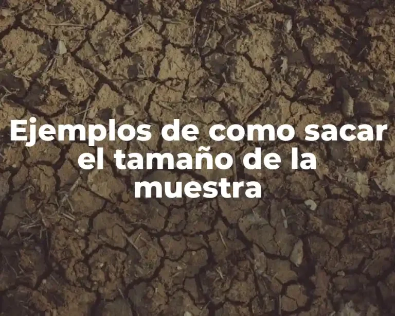 Ejemplos de como sacar el tamaño de la muestra