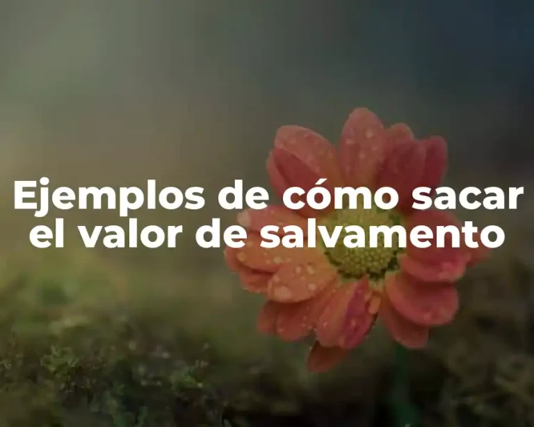 Ejemplos de cómo sacar el valor de salvamento