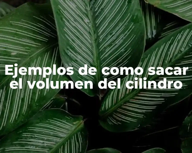 Ejemplos de como sacar el volumen del cilindro
