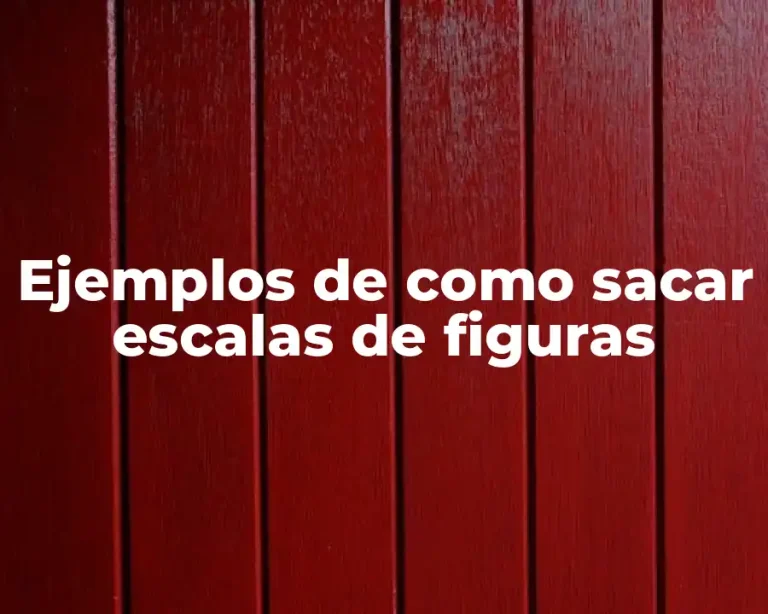 Ejemplos de como sacar escalas de figuras