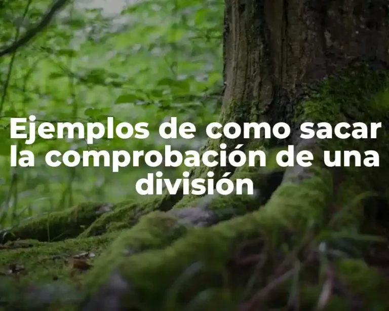 Ejemplos de como sacar la comprobación de una división