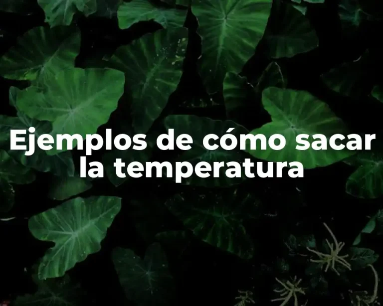 Ejemplos de cómo sacar la temperatura