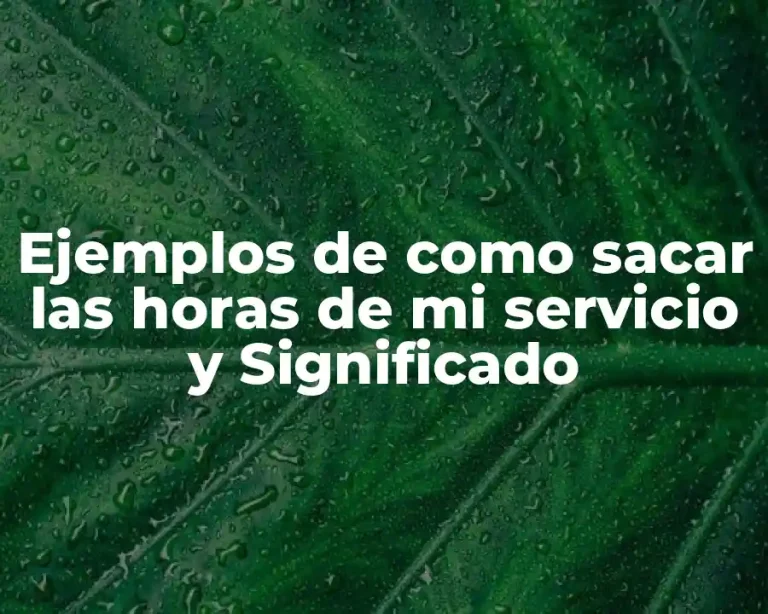 Ejemplos de como sacar las horas de mi servicio y Significado
