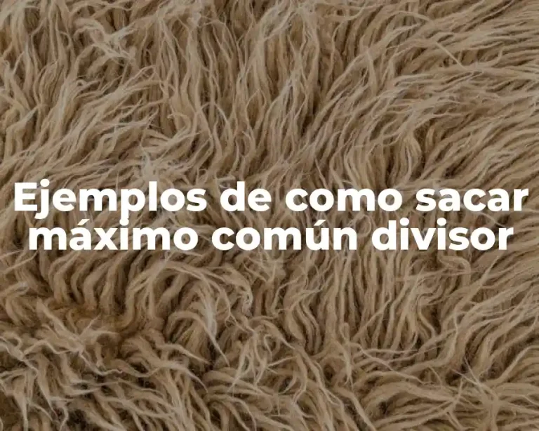 Ejemplos de como sacar máximo común divisor