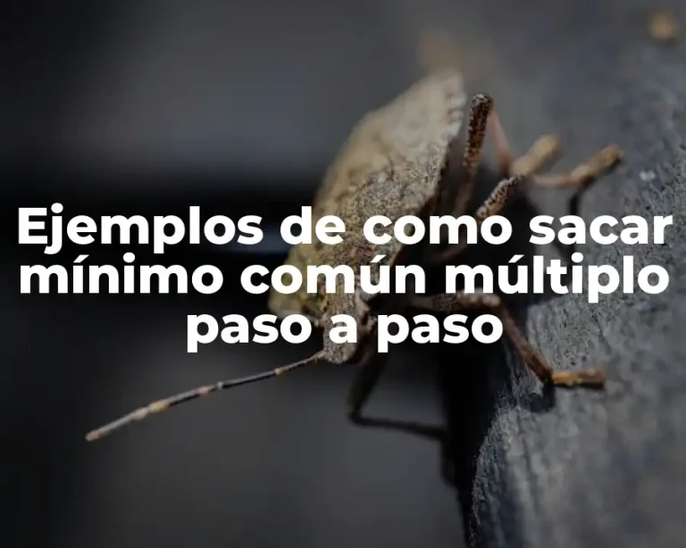 Ejemplos de como sacar mínimo común múltiplo paso a paso