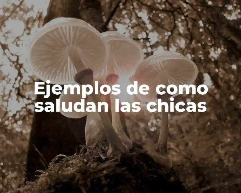 Ejemplos de como saludan las chicas