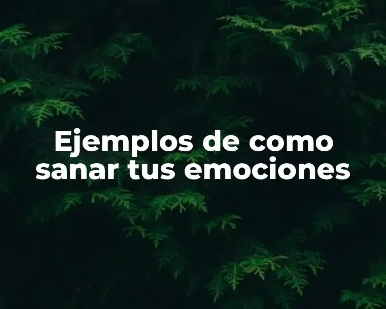 Ejemplos de como sanar tus emociones