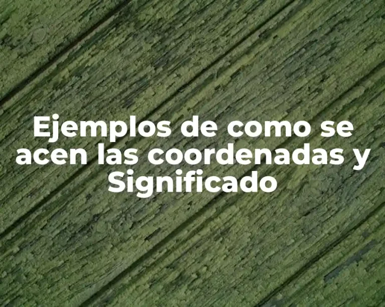 Ejemplos de como se acen las coordenadas y Significado